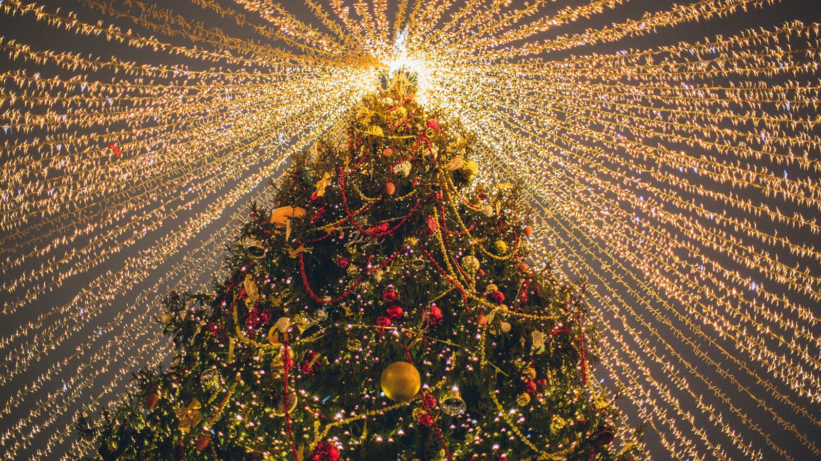 Invloed 鍔 Gespierd Hoeveel lampjes in een kerstboom? - Kerstverlichting.nl